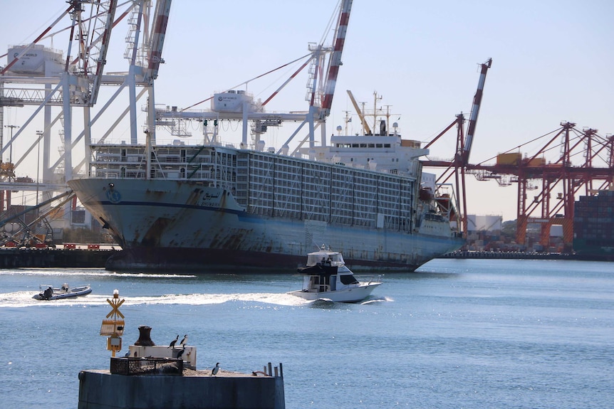 The ship sits in harbour with cranes in the background. Smaller ships are nearby.