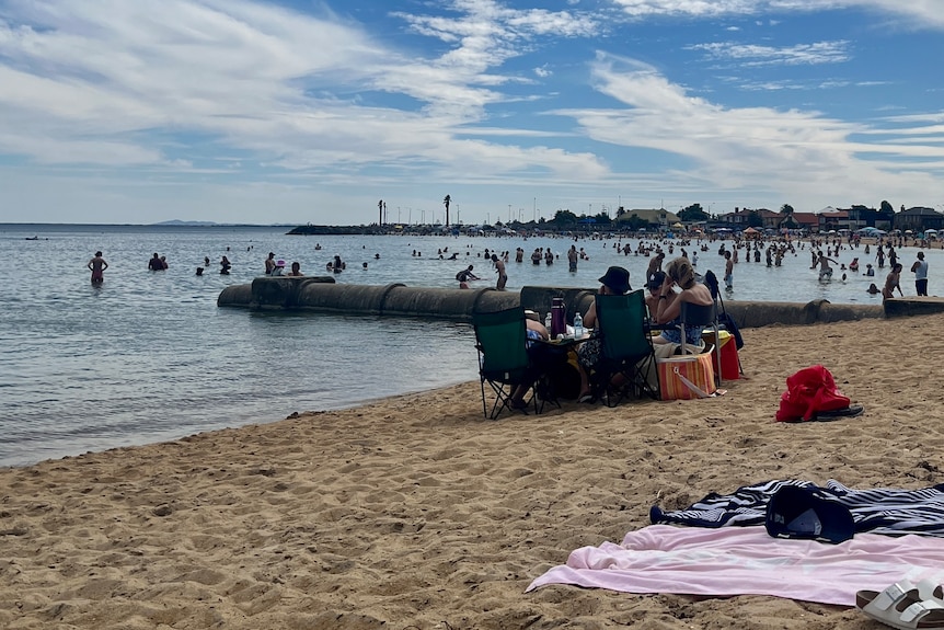 A group of older woman sitting around a table on Williamstown beach, with many people in the background swimming in the water.