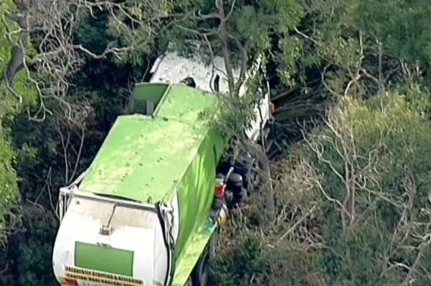 A truck in a patch of trees.