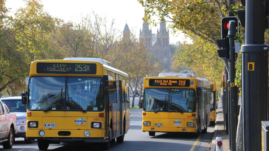 Two yellow buses roll down a city street. Cathedral-like buildings are visible in the distance.