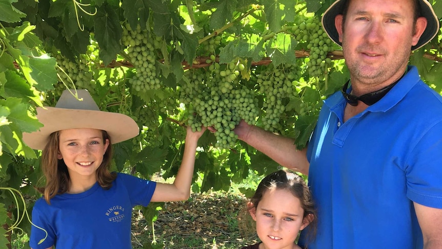 Man with two young girls in front of green grapes