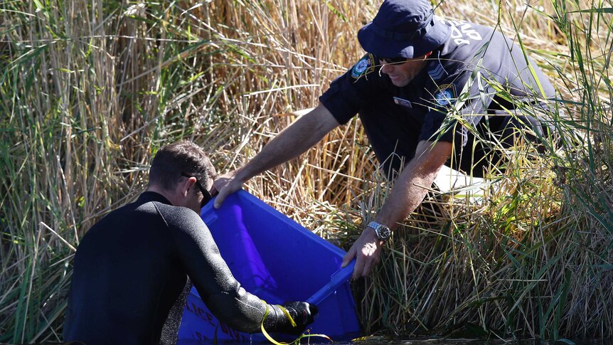 Police divers find a laptop in an irrigation canal outside Leeton
