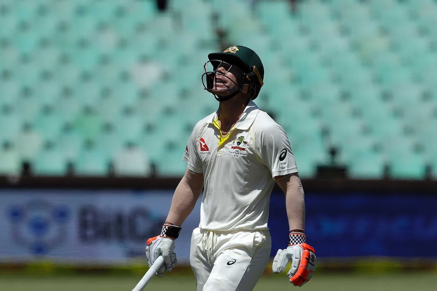 David Warner screams to the heavens after dismissal in Durban