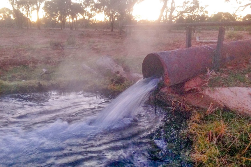 It is estimated up to 98 per cent of water from free-flowing artesian bores ends up being wasted.