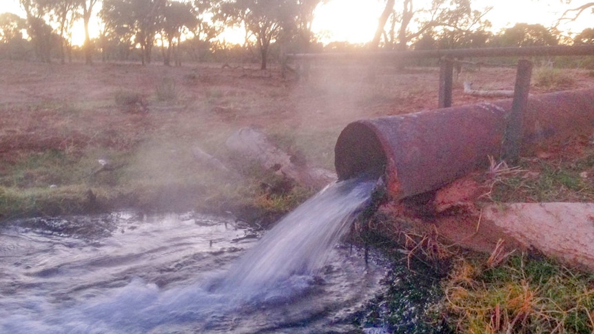 It is estimated up to 98 per cent of water from free-flowing artesian bores ends up being wasted.