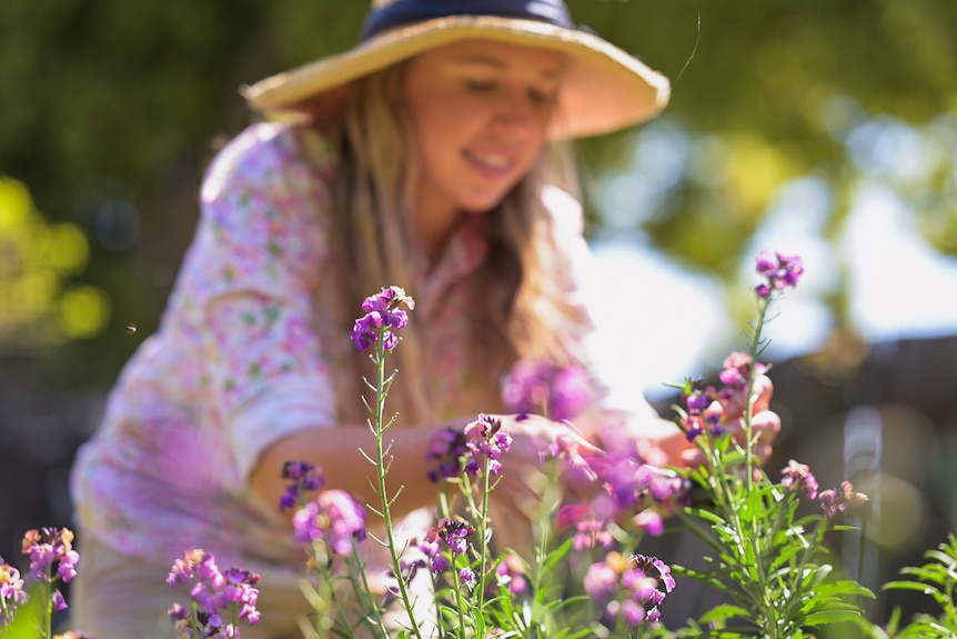 Women in floral dress and hat prunes garden with purple flowers in foreground. 