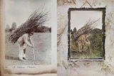 A composite of an old photo and an album cover of the same photo in colour hung on a wall 
