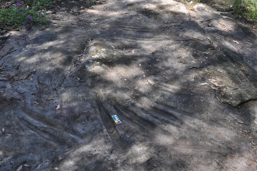 V-shaped grinding grooves on a rock.