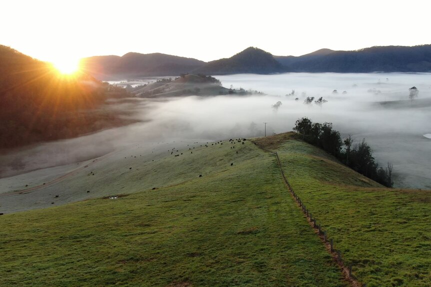 Sunrise over foggy green hills