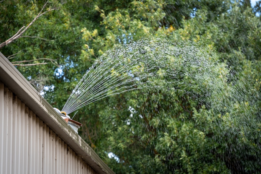 Sprinkler on a tin roof spraying water.