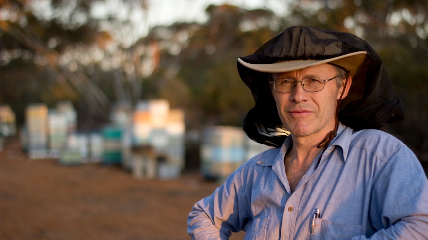 Peter McDonald looking very serious with a bee veil pulled up over his hat and hives in the background.