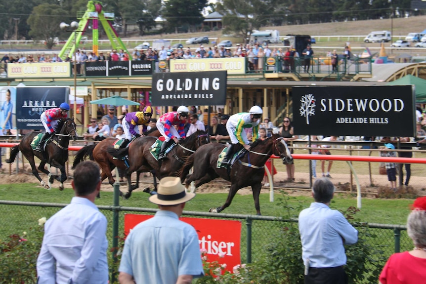 People watch a horse race