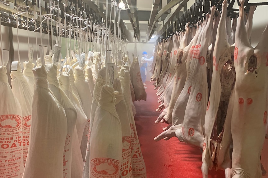 Goat meat being processed in a factory