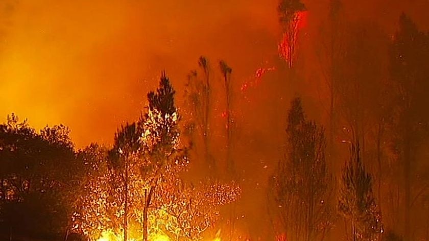 York Town bushfire in northern Tasmania at night.