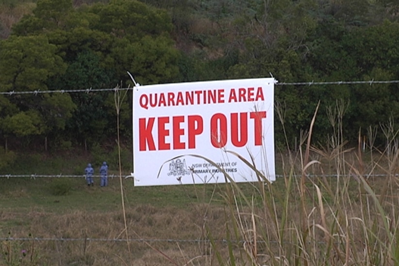 Quarantined property at Millbank in NSW