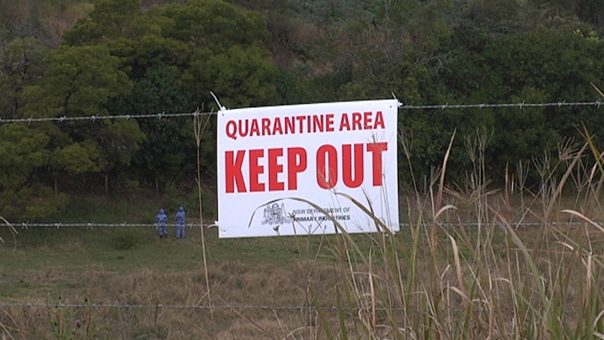 Quarantined property at Millbank in NSW