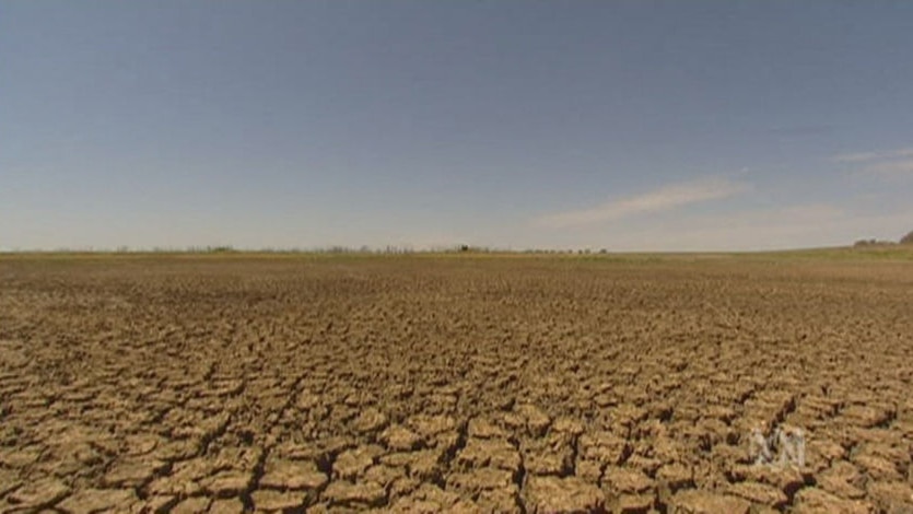 A dry, cracked paddock in drought under a clear sky.