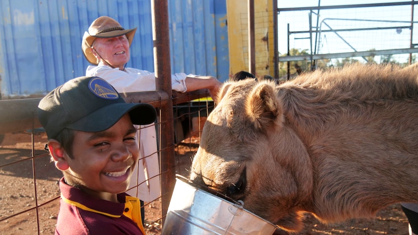 Leonora's animal husbandry program leading the way for troubled kids - ABC  Goldfields