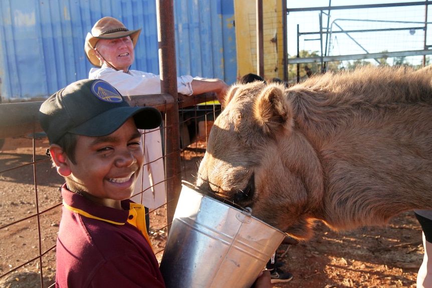 A young Aboriginal boy smiling as he feeds a camel from a bucket while his much older great-grandfather looks on