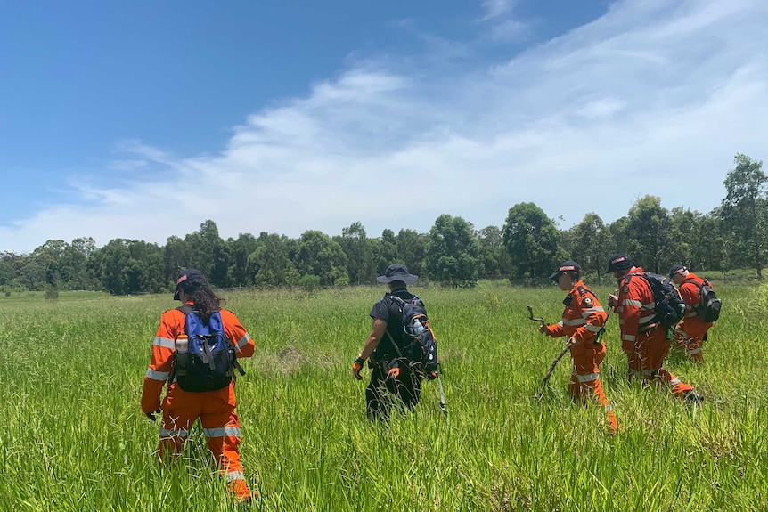Five search and rescue officer walk through long grass.