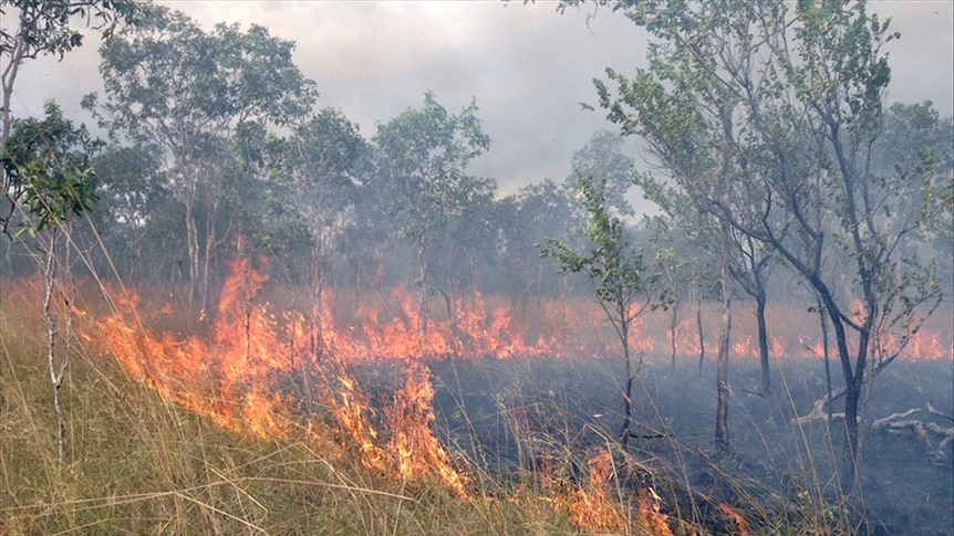 An early dry season fire burns in the southern part of Kakadu National Park.