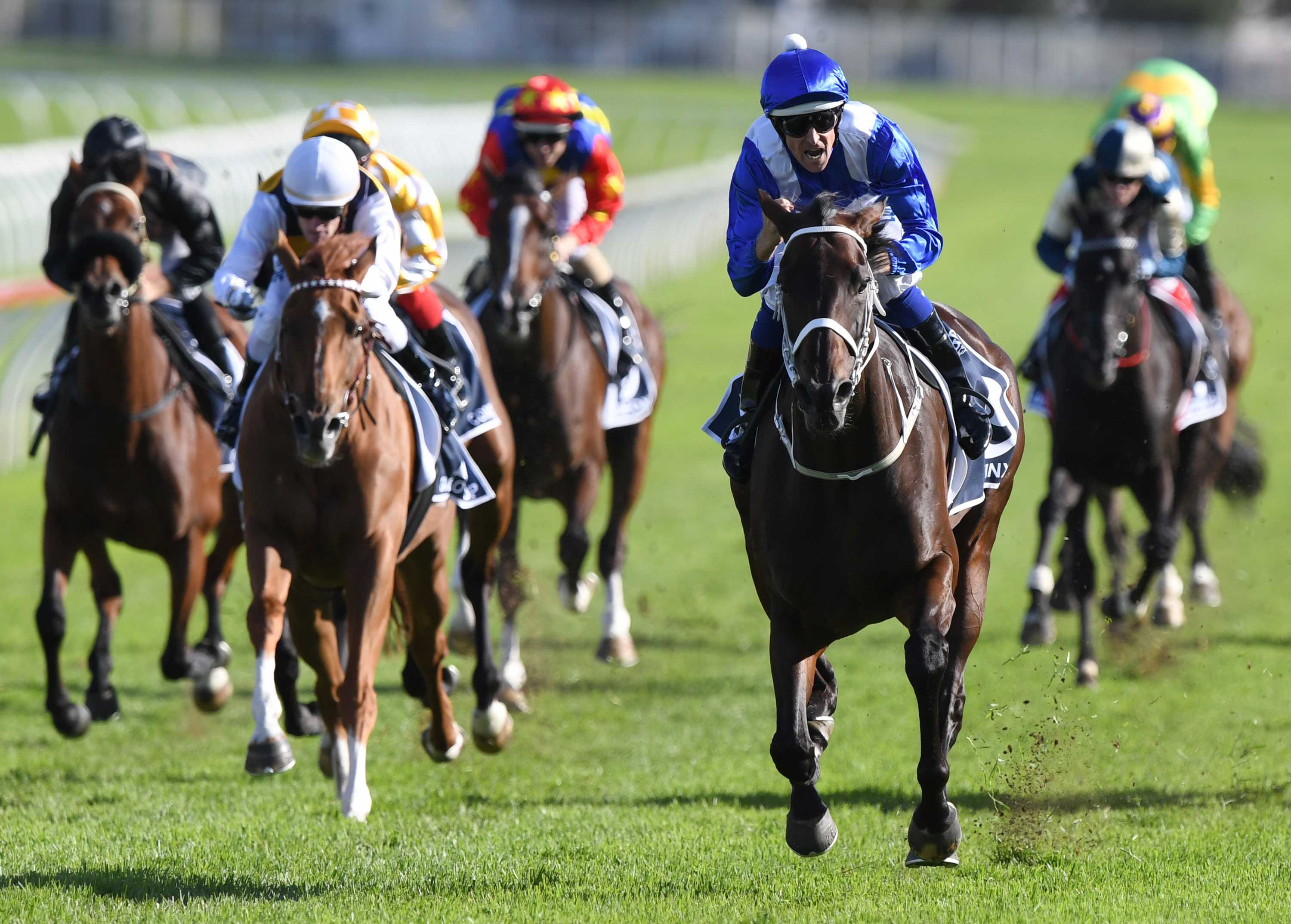 Winx wins again and matches Black Caviar record of 25 straight race ...