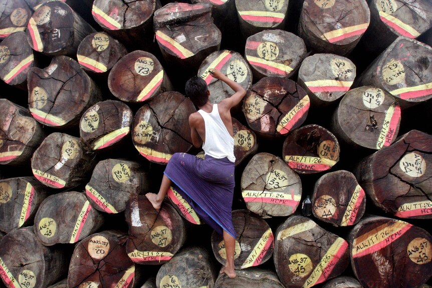 Worker draws paint markings on wood logs being prepared for export