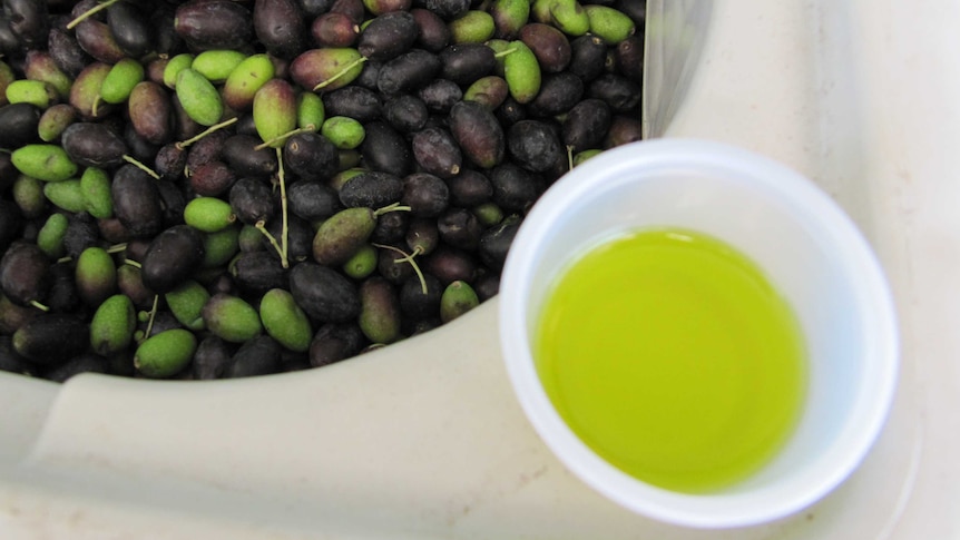 Fresh olives and oil.