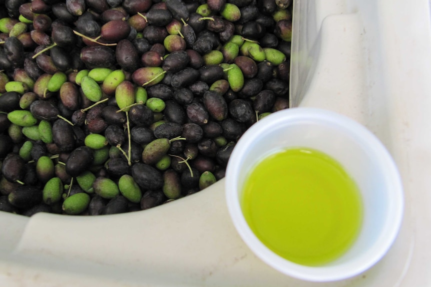 Fresh olives and oil.