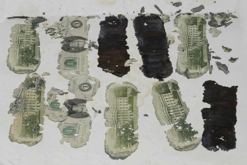 Bundles of crumbling $20 bills from DB Cooper's ransom money.
