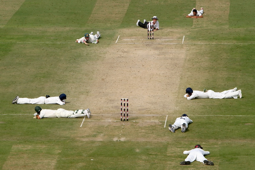 Cricket players in white kit lie on the ground in the middle of the pitch as bees buzz overhead