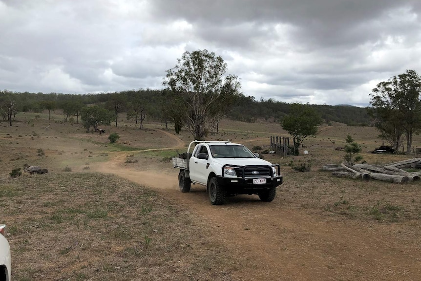 A ute drives towards the camera down a winding road on a property. There are grey clouds in the sky.