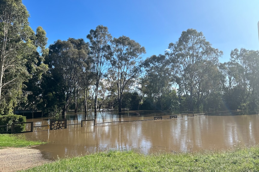 Floodwater on a property with trees in the background and a fence in the water