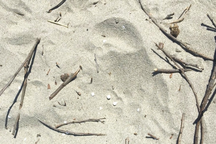 White polystyrene foam balls amongst the sand on a beach