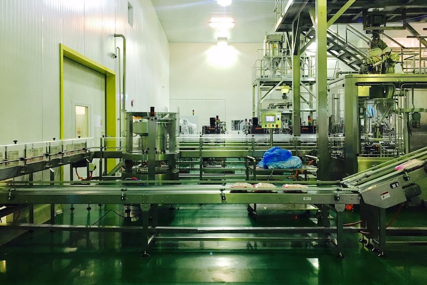 The production line at Viplus Dairy's factory at Toora in South Gippsland.