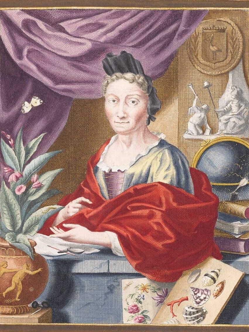 A colour portrait of Maria Sibylla Merian by Dutch artist Jacobus Houbrake, circa 1700.
