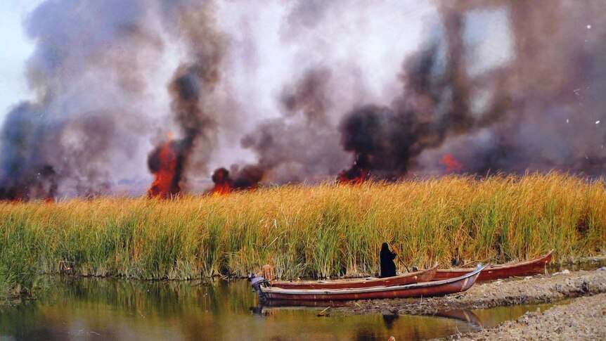 Fires burn red over a dry marsh area