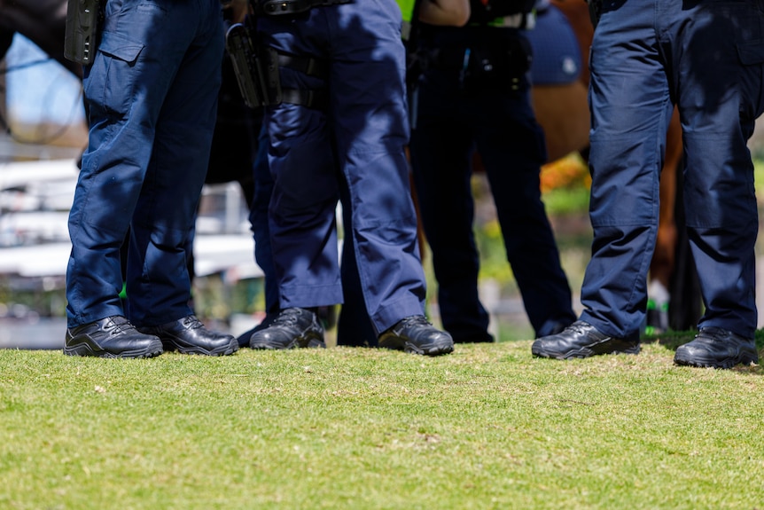 a photo of a group of police officer's legs in work pants and work boots.