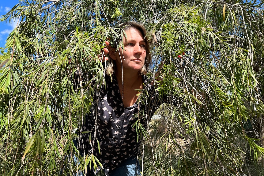 ABC reporter Nicole bond hides in a bush.