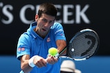 Novak Djokovic hits a backhand against Aljaz Bedene
