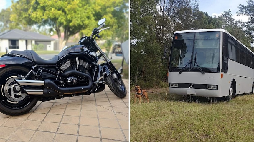 motorbike and bus with dog