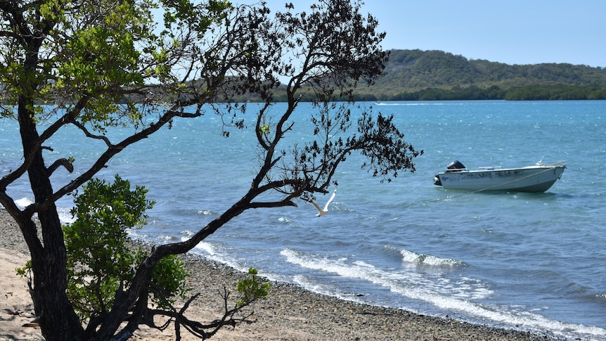 A beach on Waiben (Thursday Island). There are mountains in the distance, a small boat in the water, and a seagull flying.