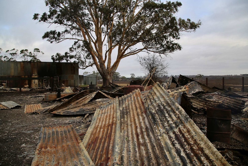 Sheets of corrugated iron and debris lie on burnt ground at a farm.
