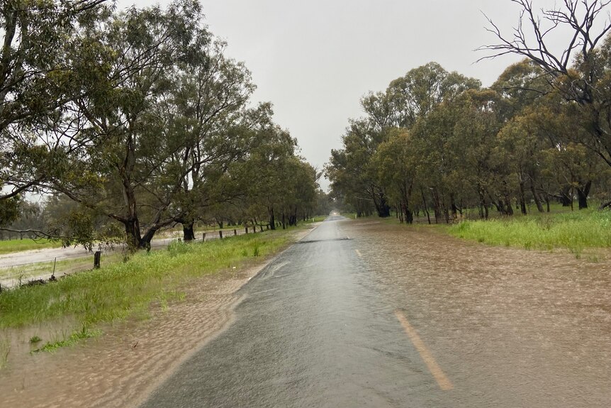 a road with water over it and trees along the side.