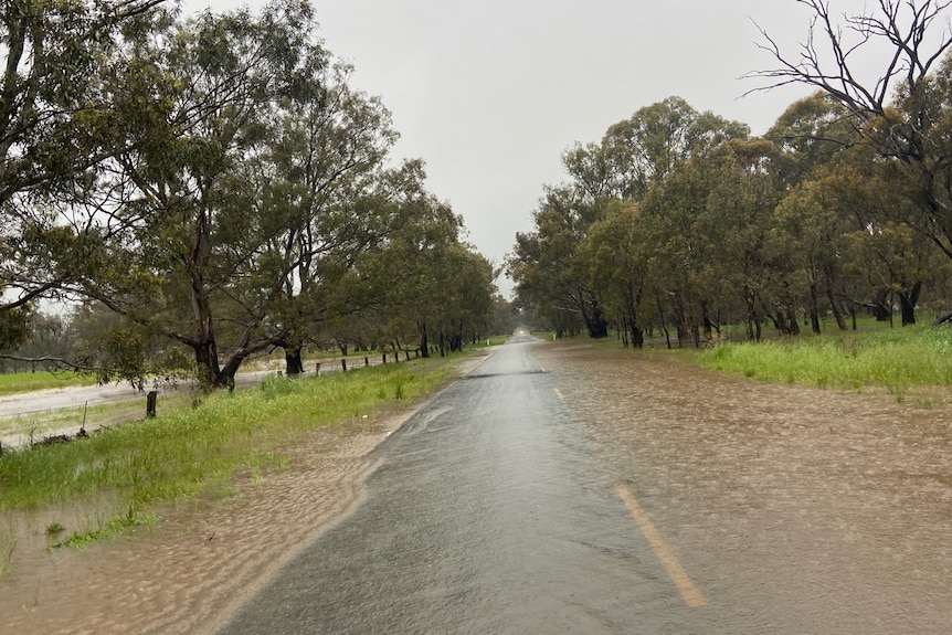 a road with water over it and trees along the side.