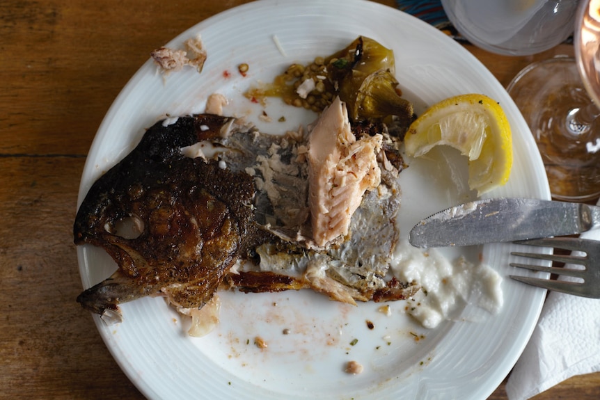A crispy fish head lies on an empty plate with some flakes of trout left on it.