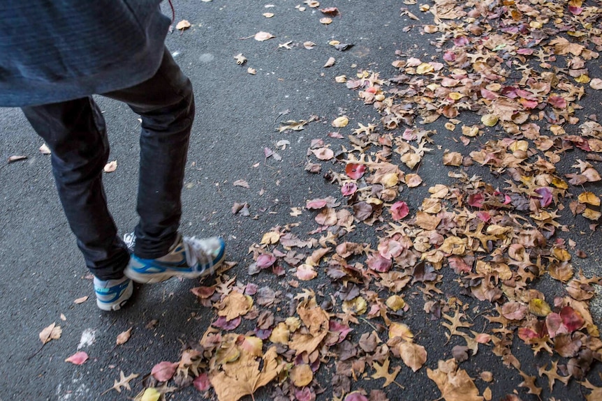 TJ Carpenter walks through autumn leaves.