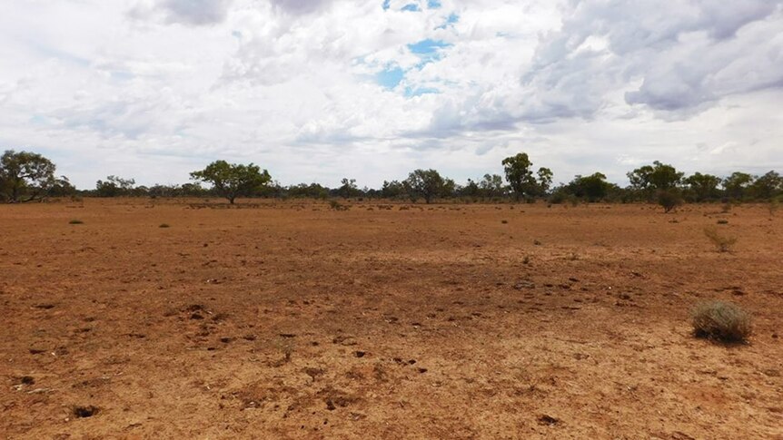 Drought-ravaged landscape at Quilpie in south-western Qld