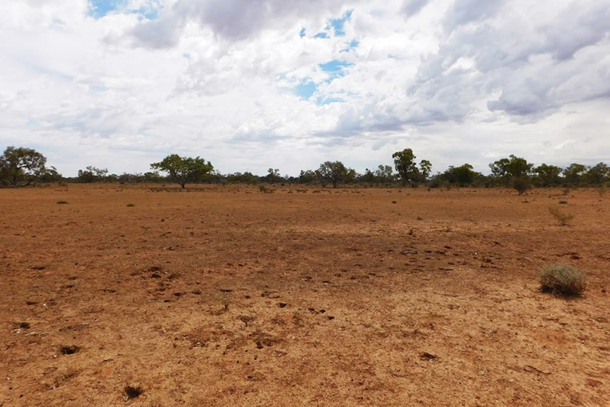 Drought-ravaged landscape at Quilpie in south-western Qld