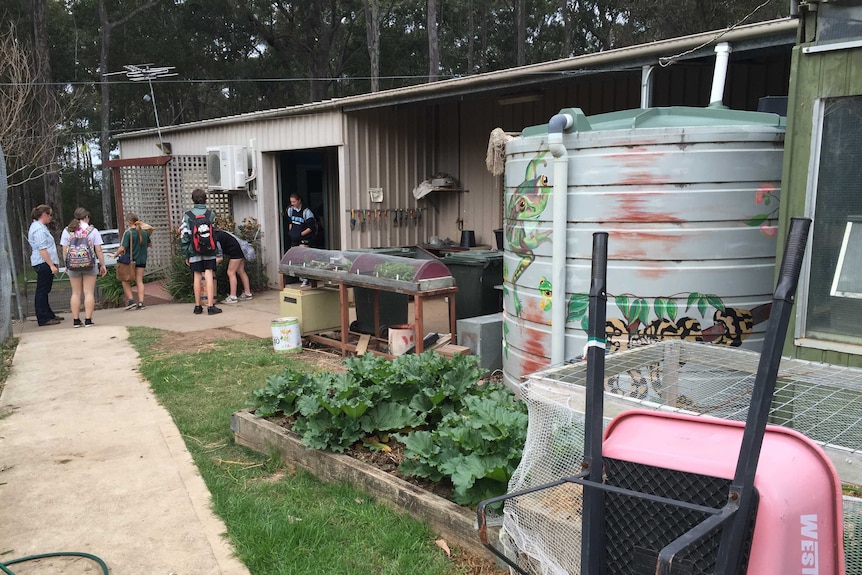 students gather in ag plot, there's a painted water tank, and vegetables growing outside a shed.